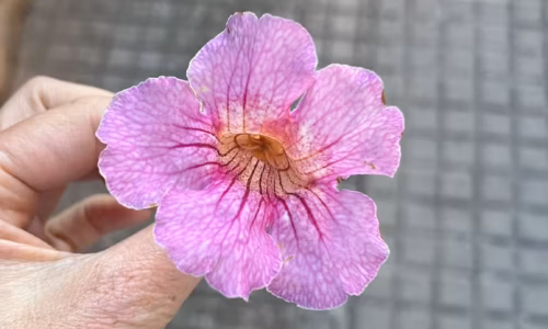 WhatsApp Image 2023-12-12 at 19.25.35